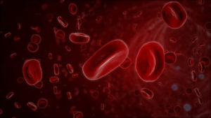 Red blood cel
